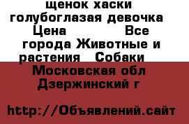 щенок хаски  голубоглазая девочка › Цена ­ 12 000 - Все города Животные и растения » Собаки   . Московская обл.,Дзержинский г.
